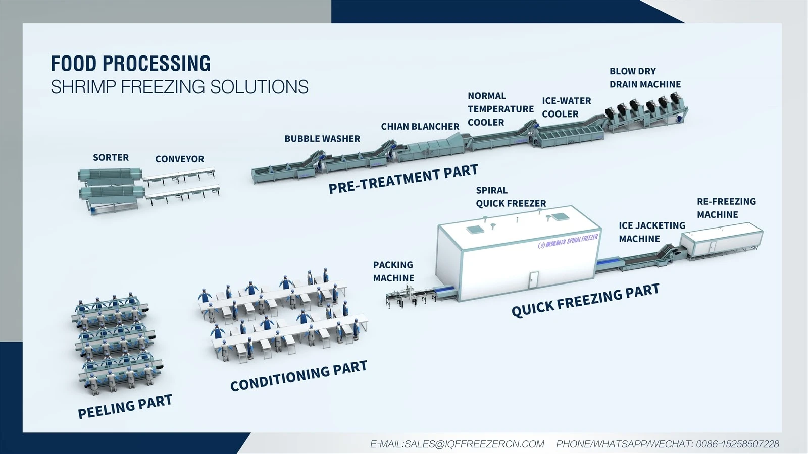 Shrimp Processing Equipment 1 Shrimp Processing Equipment 1