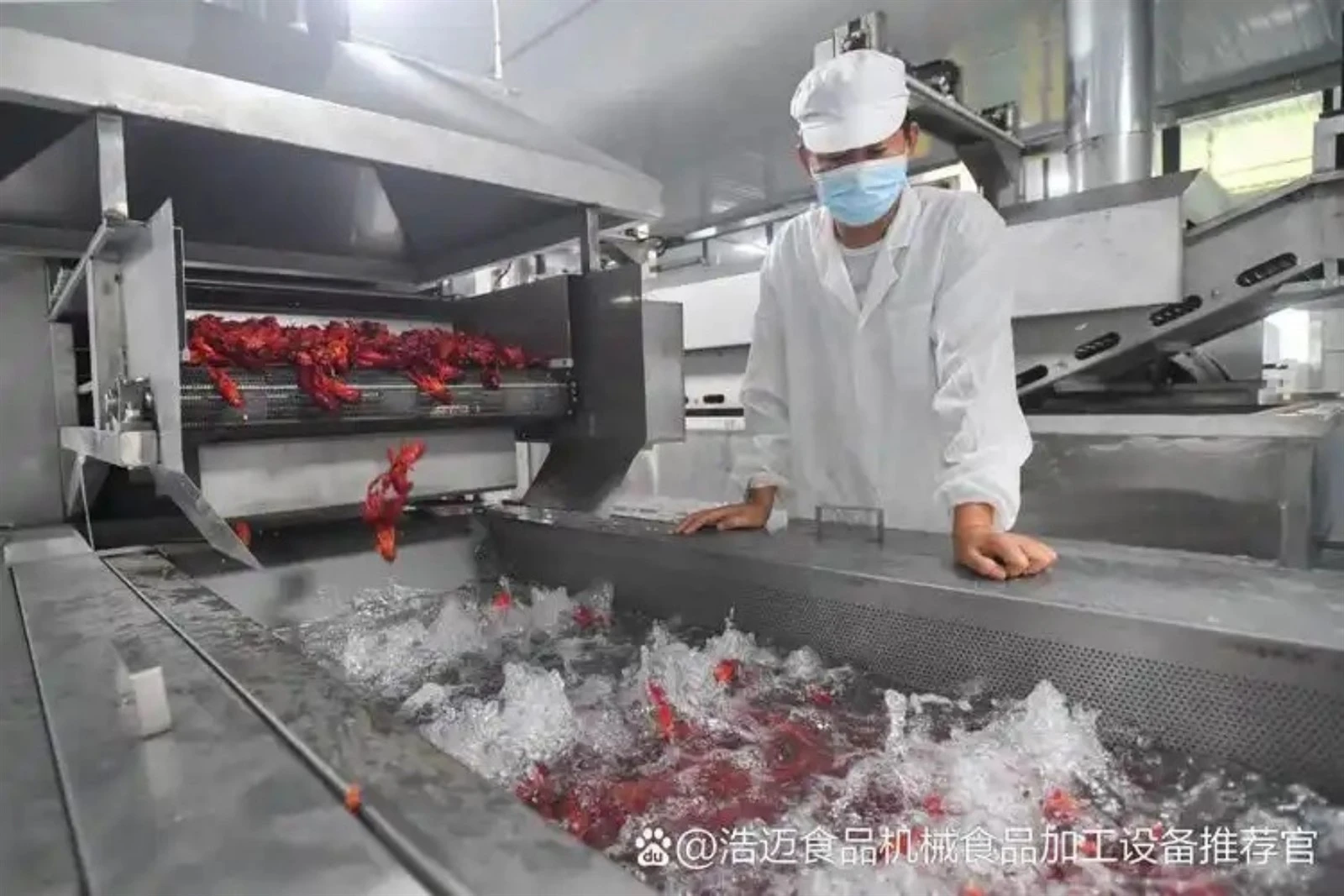 Frozen Shrimp Processing Line 1 1 Frozen Shrimp Processing Line 1 1